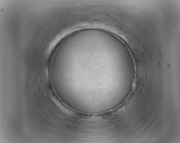 X0000078231503200611171420