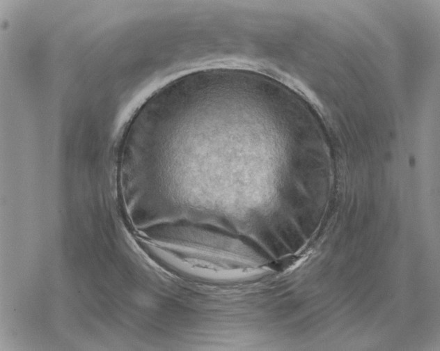 X0000078231504200611171421