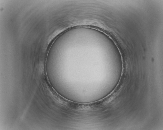 X0000078231505200611171421