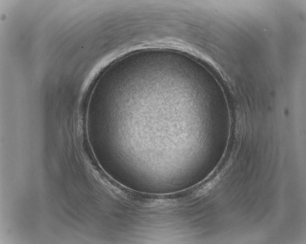 X0000078231506200611171421