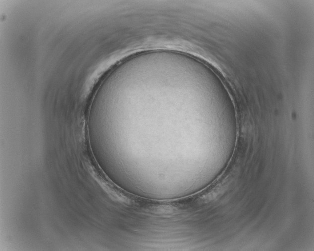 X0000078231507200611171421