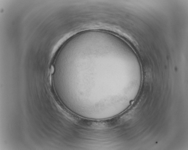 X0000078231509200611171421