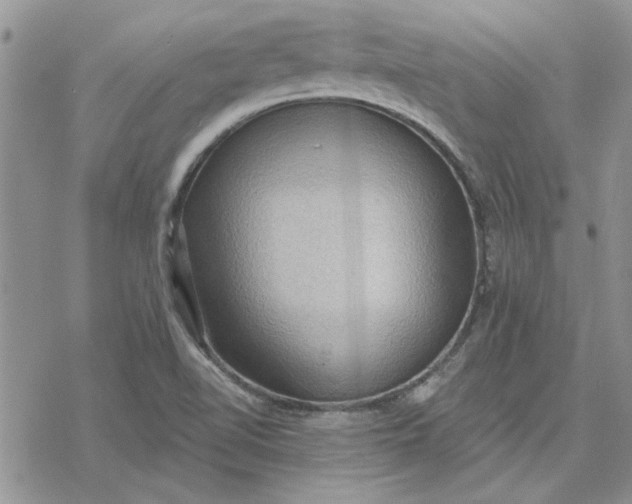 X0000078231510200611171421