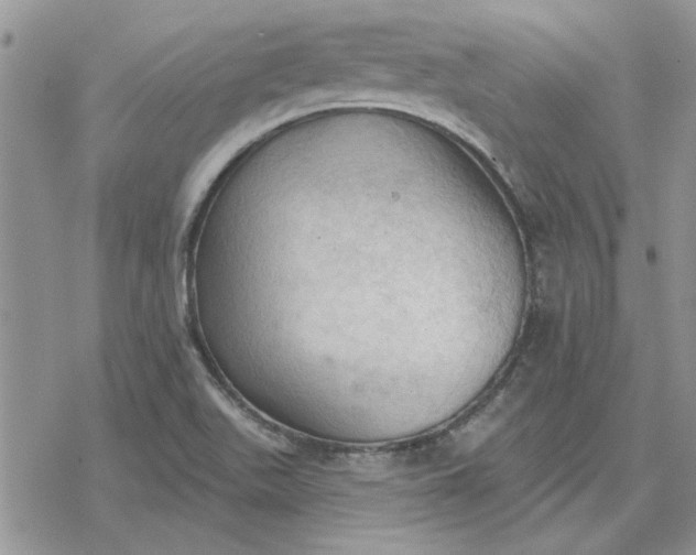 X0000078231511200611171421