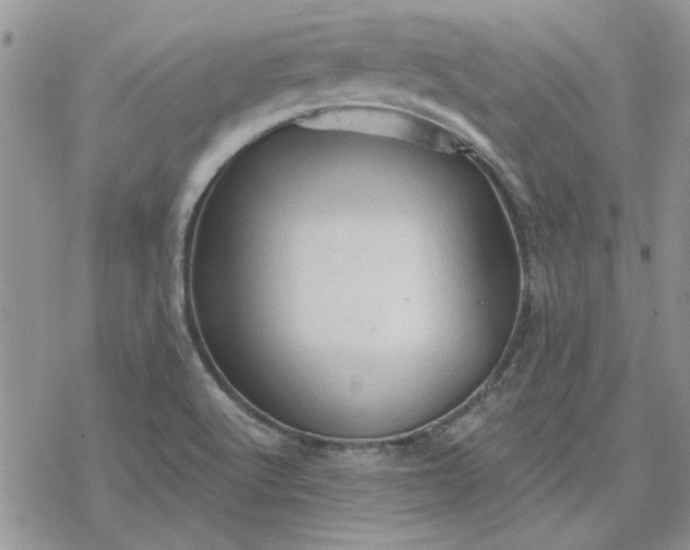 X0000078231512200611171421