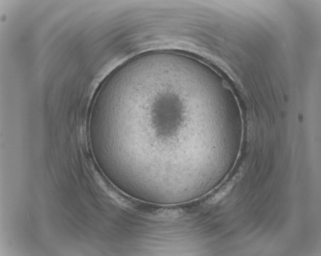 X0000078231513200611171421