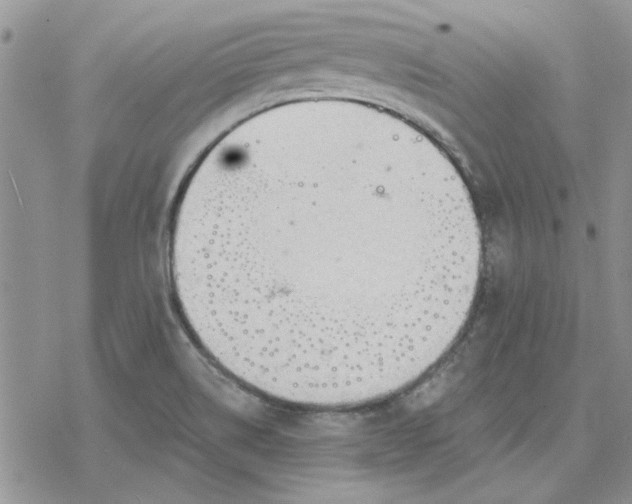 X0000078231514200611171421