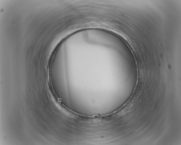 X0000078231515200611171421