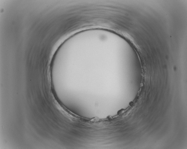 X0000078231516200611171421