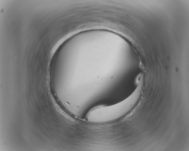 X0000078231518200611171421