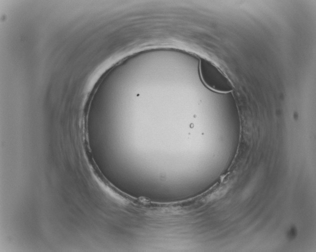 X0000078231519200611171421