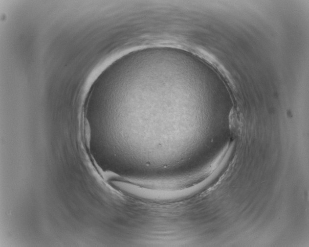 X0000078231520200611171421