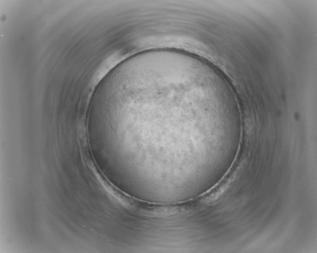 X0000078231521200611171421