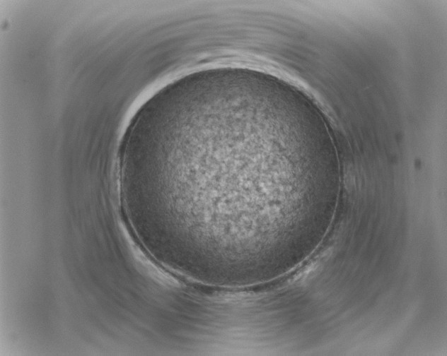 X0000078231522200611171421