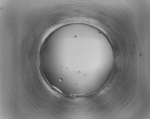 X0000078231523200611171421