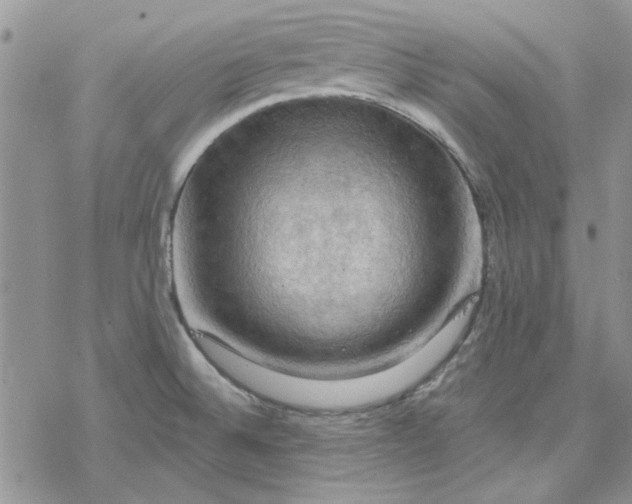 X0000078231524200611171421