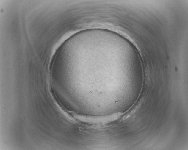 X0000078231525200611171421