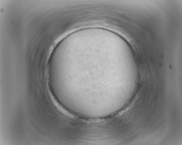 X0000078231526200611171421