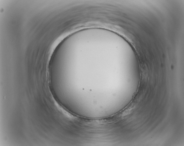 X0000078231527200611171421