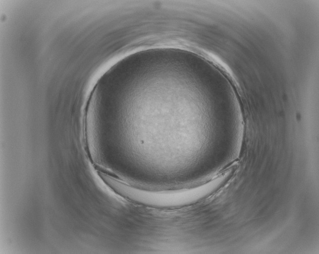 X0000078231528200611171421