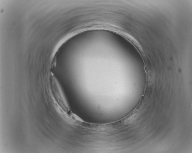 X0000078231530200611171421