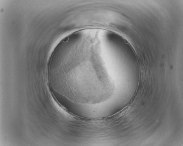 X0000078231531200611171421