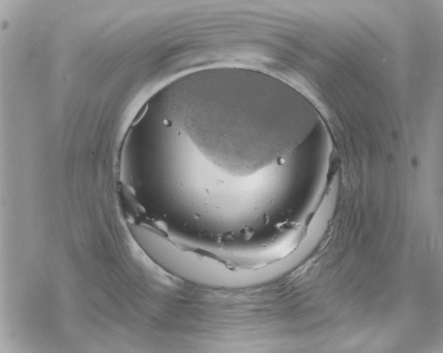 X0000078231532200611171421