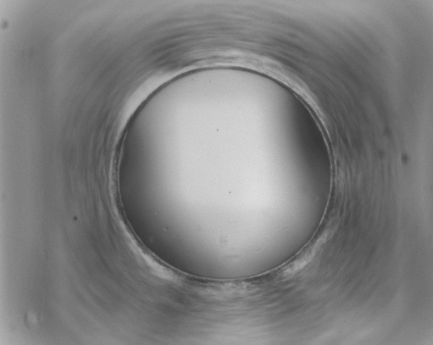 X0000078231533200611171421