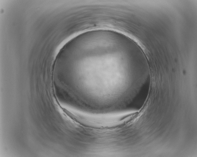 X0000078231534200611171421