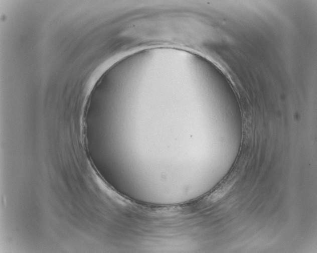 X0000078231535200611171421