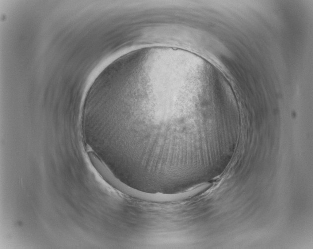 X0000078231536200611171421