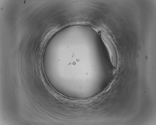 X0000078230001200611251225