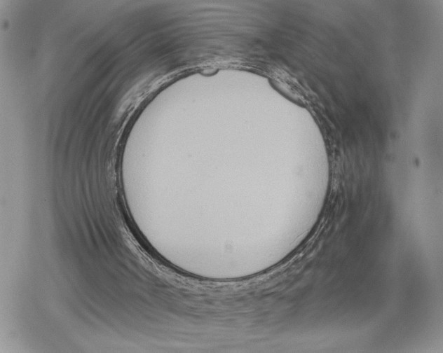 X0000078230002200611251225