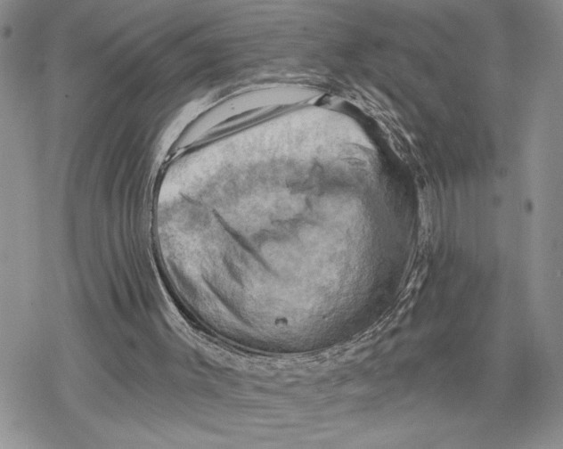 X0000078230003200611251225