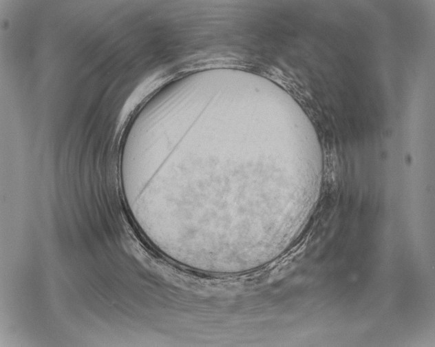 X0000078230004200611251225