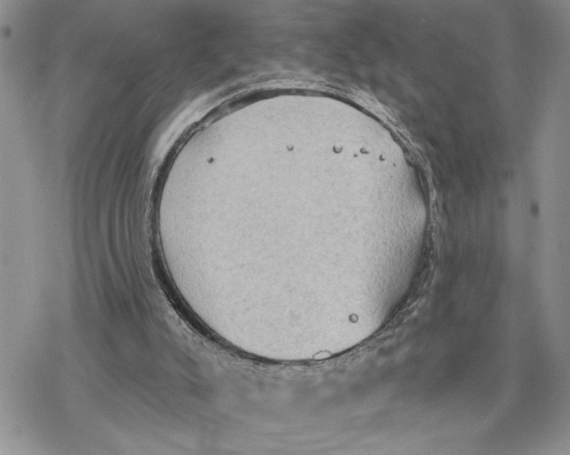 X0000078230007200611251225