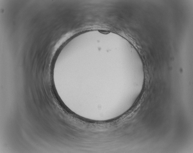 X0000078230008200611251225