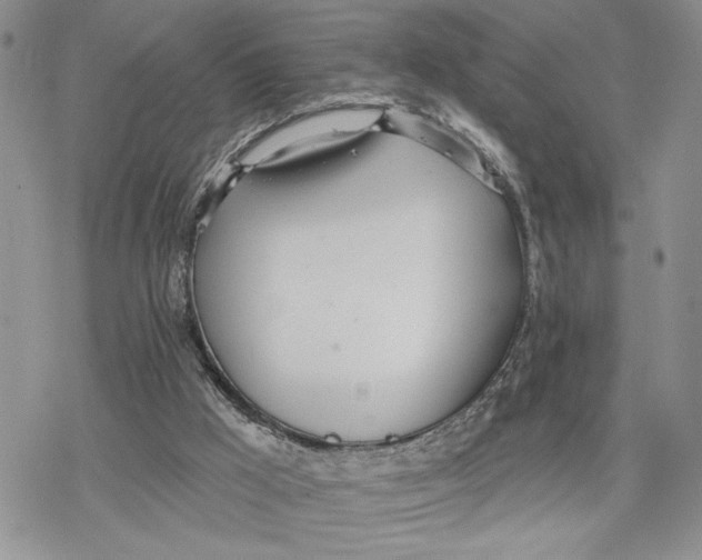 X0000078230009200611251225