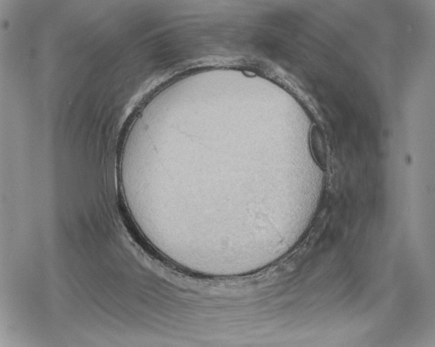 X0000078230011200611251225