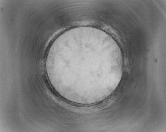 X0000078230012200611251225