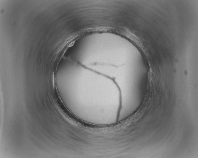 X0000078230013200611251225