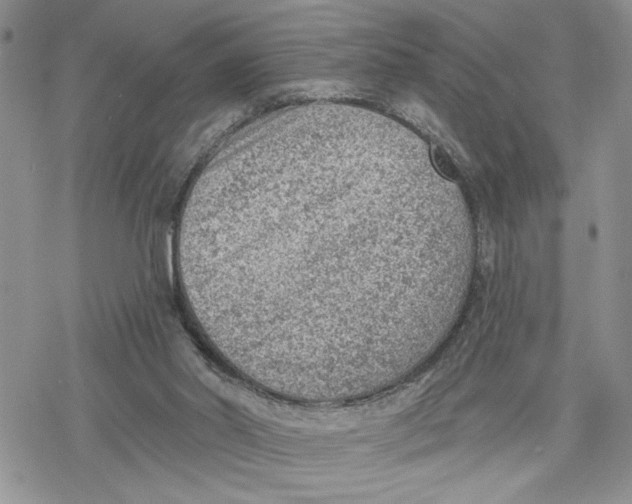 X0000078230014200611251225