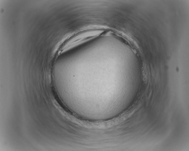 X0000078230015200611251225