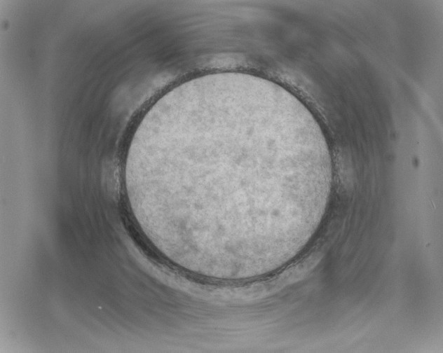 X0000078230016200611251225