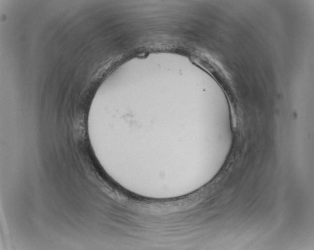 X0000078230017200611251225