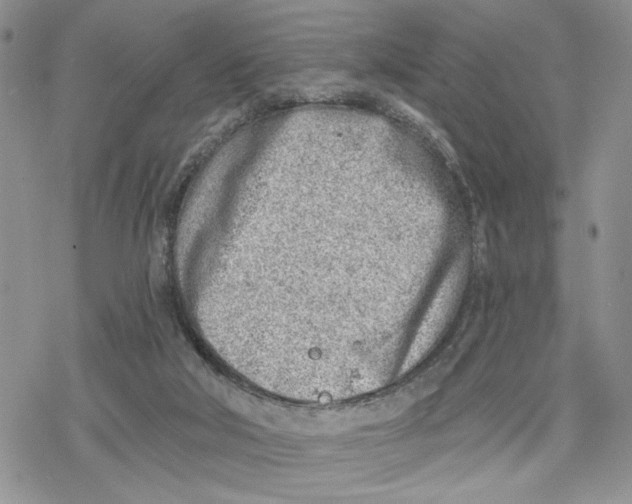 X0000078230018200611251225