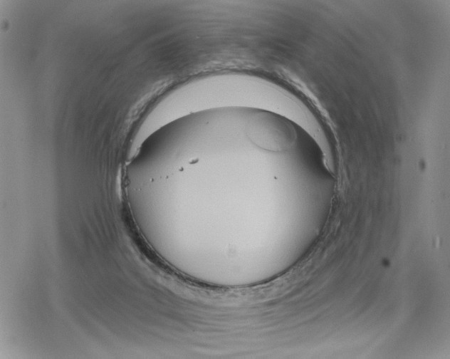 X0000078230019200611251225