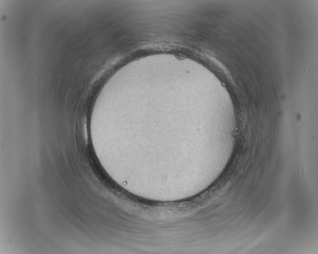 X0000078230020200611251225