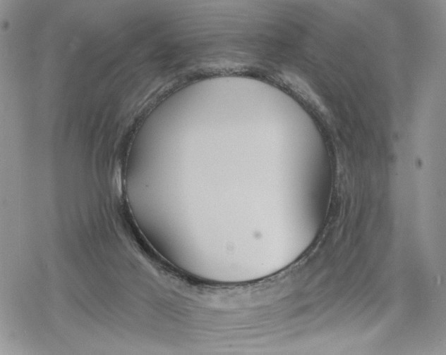 X0000078230021200611251225