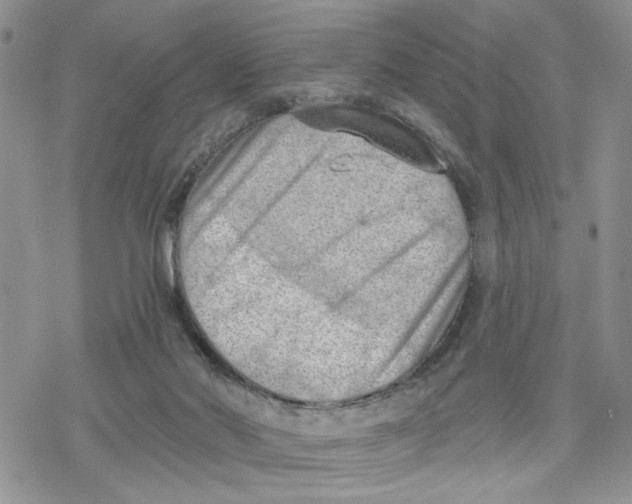 X0000078230022200611251225